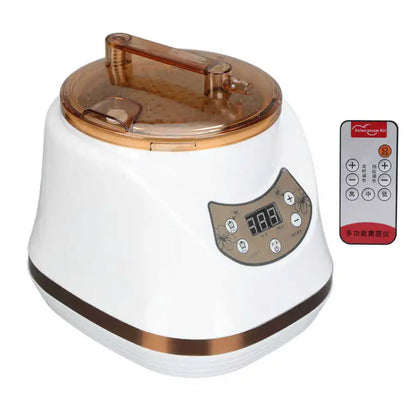 1000W 2L Sauna Steamer Pot Portable Multifunctional Spa Fumigation Machine for Body Detox Weight Loss Spa Steam Generator