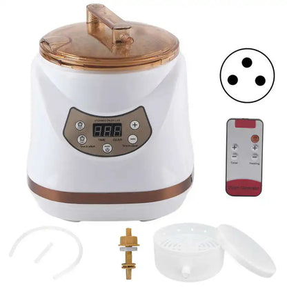 1000W 2L Sauna Steamer Pot Portable Multifunctional Spa Fumigation Machine for Body Detox Weight Loss Spa Steam Generator