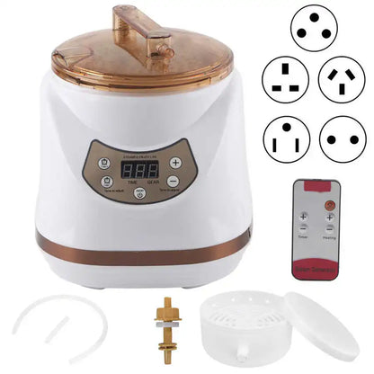 1000W 2L Sauna Steamer Pot Portable Multifunctional Spa Fumigation Machine for Body Detox Weight Loss Spa Steam Generator