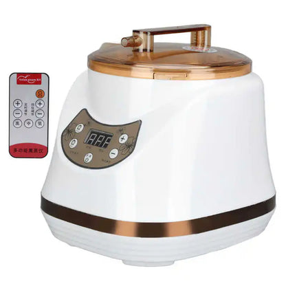 1000W 2L Sauna Steamer Pot Portable Multifunctional Spa Fumigation Machine for Body Detox Weight Loss Spa Steam Generator