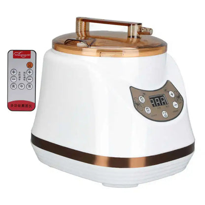 1000W 2L Sauna Steamer Pot Portable Multifunctional Spa Fumigation Machine for Body Detox Weight Loss Spa Steam Generator