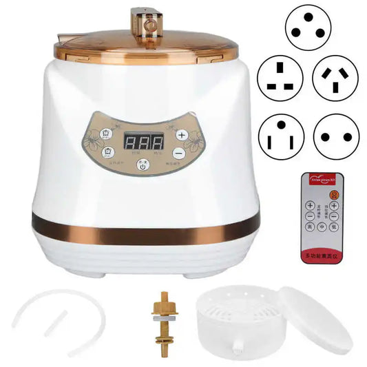 1000W 2L Sauna Steamer Pot Portable Multifunctional Spa Fumigation Machine for Body Detox Weight Loss Spa Steam Generator