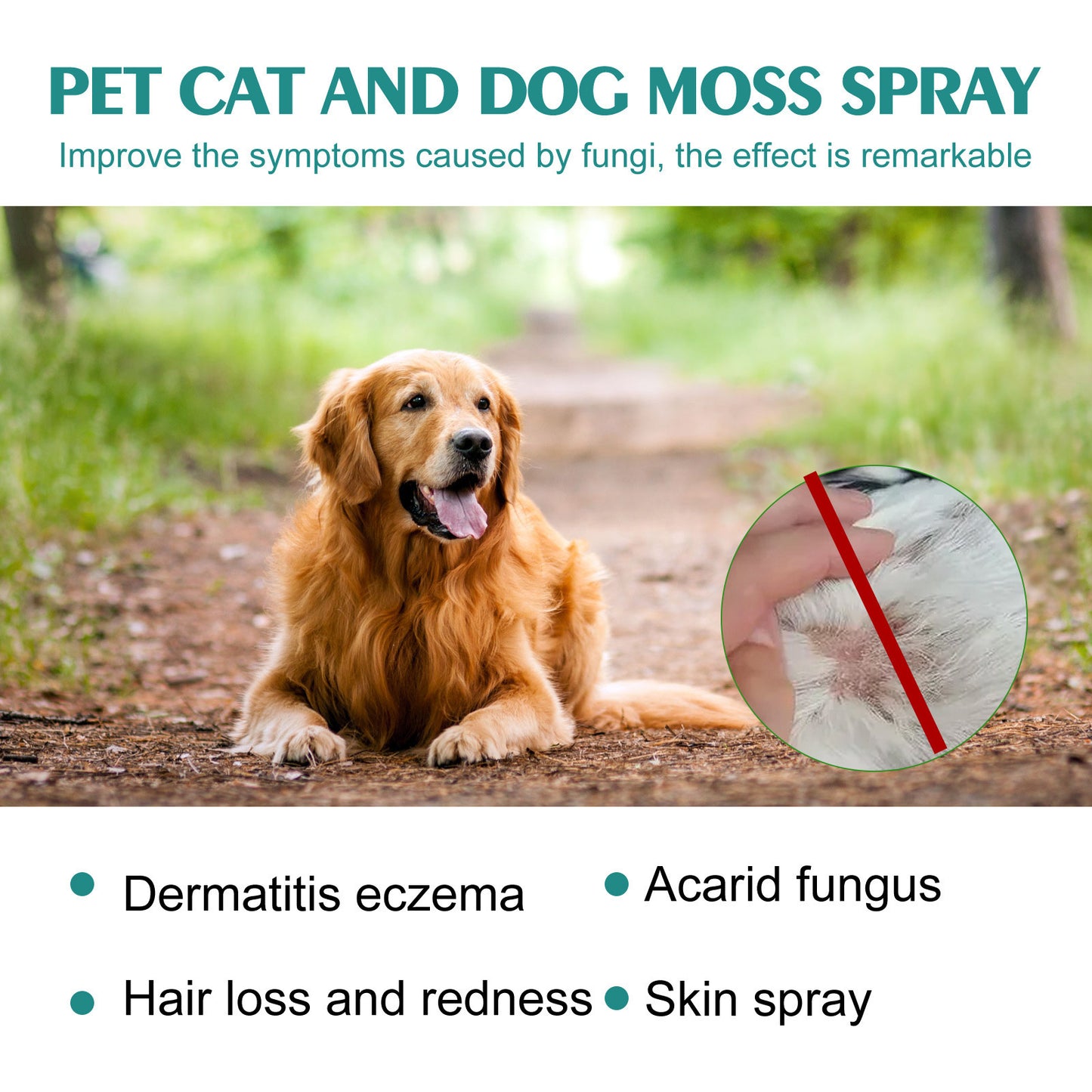 Pet Cat Dog Moss Spray Mite-removal Cleaning Relieve Pet Skin Moss Care Anti-itching Spray