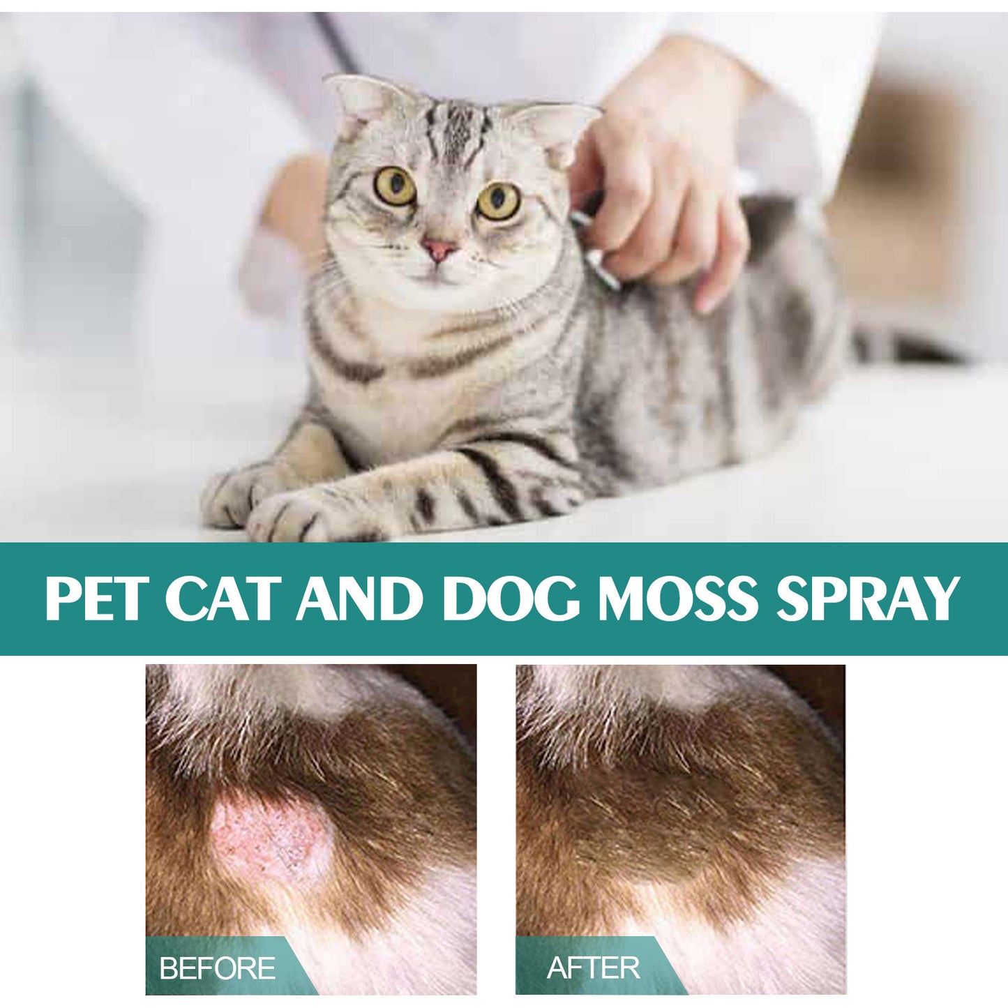 Pet Cat Dog Moss Spray Mite-removal Cleaning Relieve Pet Skin Moss Care Anti-itching Spray